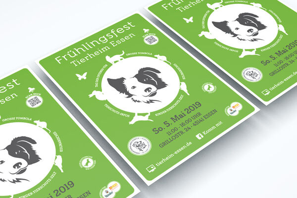 Tierheim Essen – Plakate